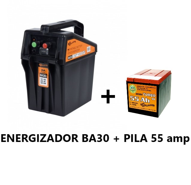 articulo4319